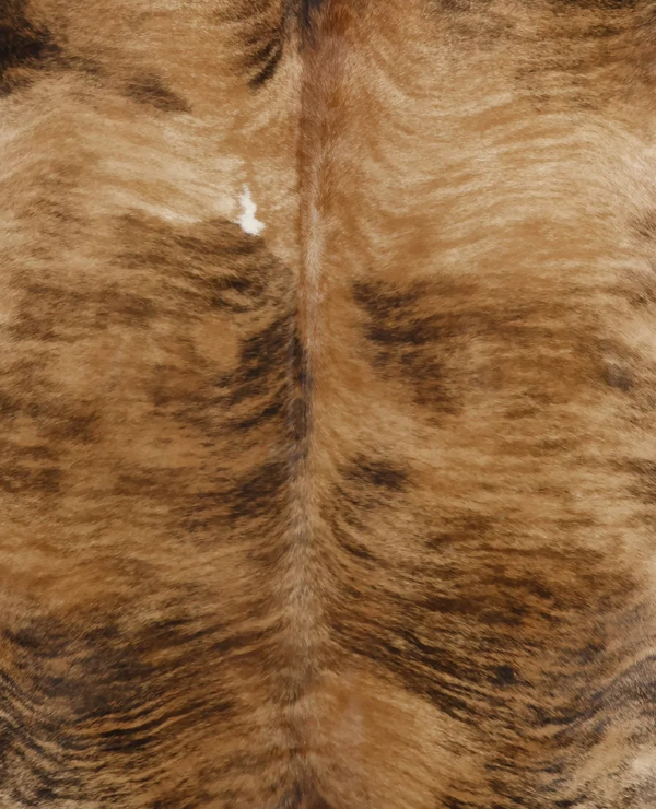 TechCorp Industries at CES